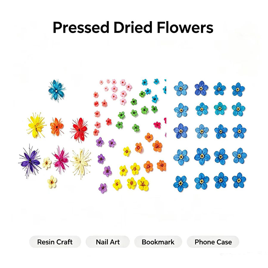 Resin Art Equipment - 60 stuks gedroogde bloemen – kleine