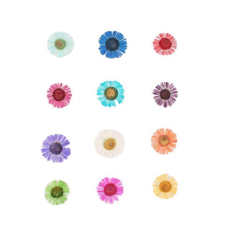 1 Set Geperste Gedroogde Bloem - Resin Art Baby recensie en prijs