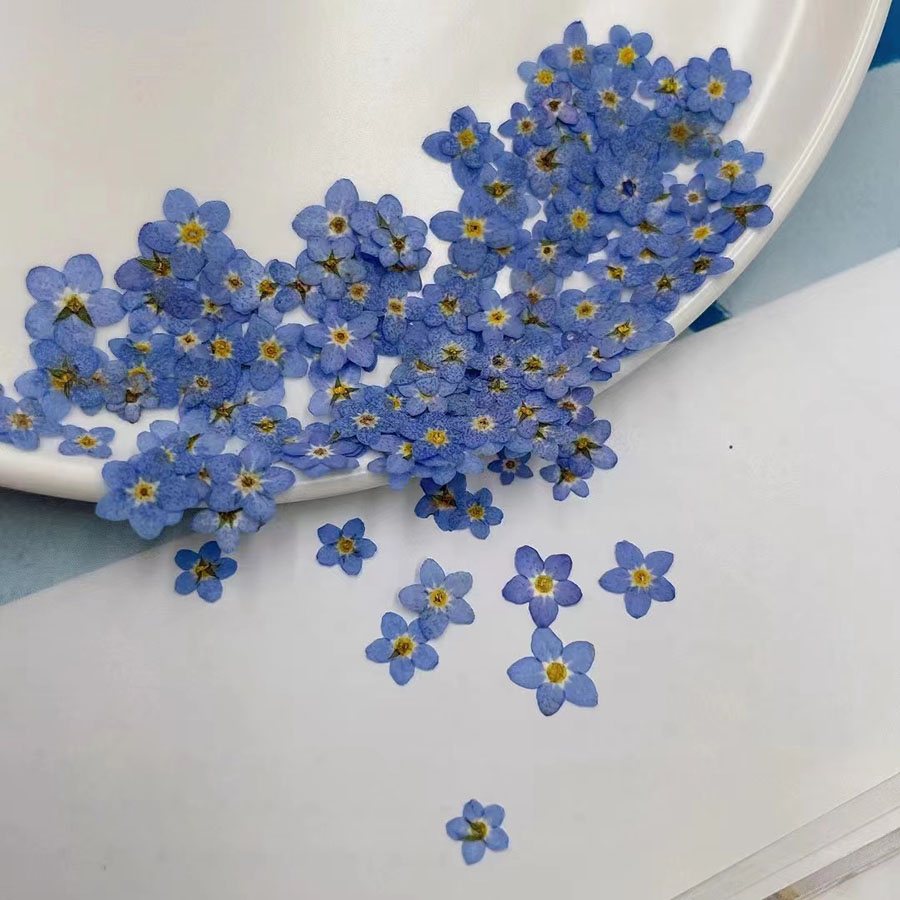 60 stuks gedroogde bloemen – k - Resin Art Equipment recensie en prijs